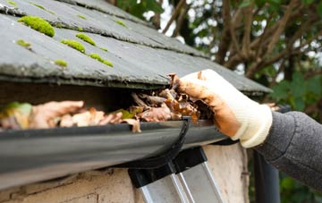 gutter cleaning Willoughby